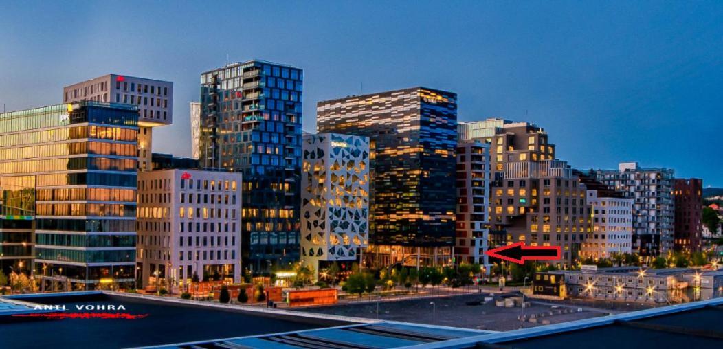 Spacious Modern 3Br Apartment At Central Oslo Barcode Exterior foto